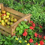 Bed & Breakfast Du Manoir D'archelles Arques-la-Bataille