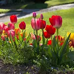 Du Manoir D'archelles Bed & Breakfast Arques-la-Bataille