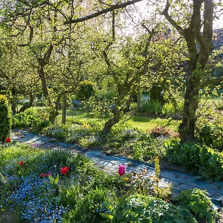 Bed & Breakfast Du Manoir D'archelles Arques-la-Bataille