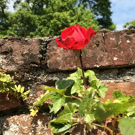 Du Manoir D'archelles Arques-la-Bataille