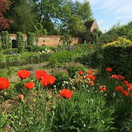 Du Manoir D'archelles Arques-la-Bataille