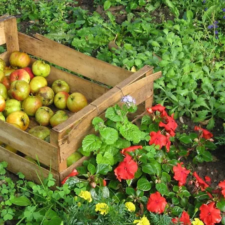 Bed & Breakfast Du Manoir D'archelles Arques-la-Bataille