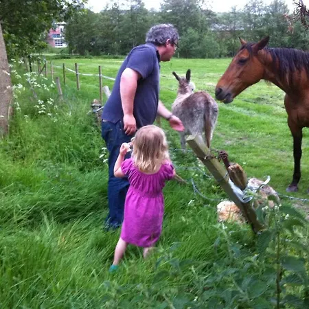 Du Manoir D'archelles Bed & Breakfast Arques-la-Bataille