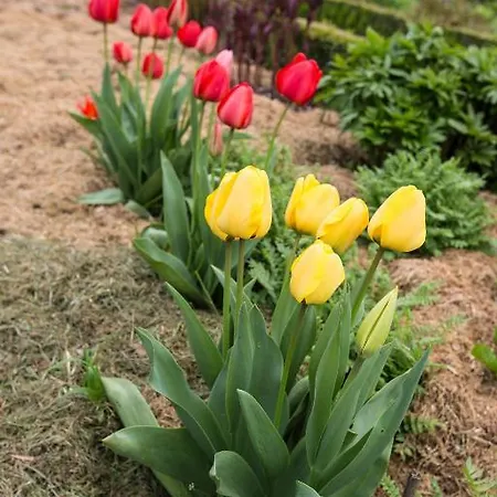 Du Manoir D'archelles Bed & Breakfast