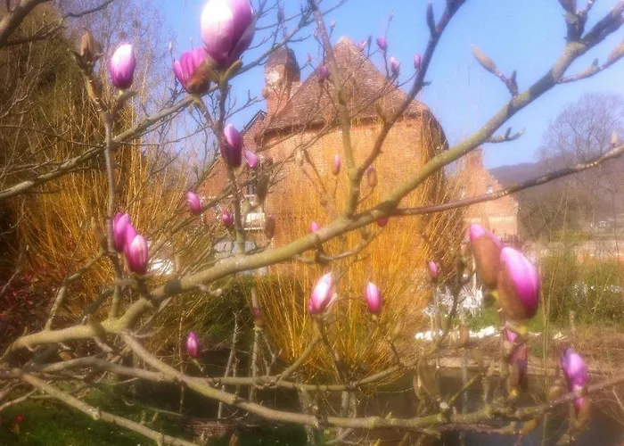 Bed and breakfast Du Manoir D'archelles