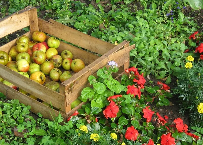 Bed and breakfast Du Manoir D'archelles Arques-la-Bataille