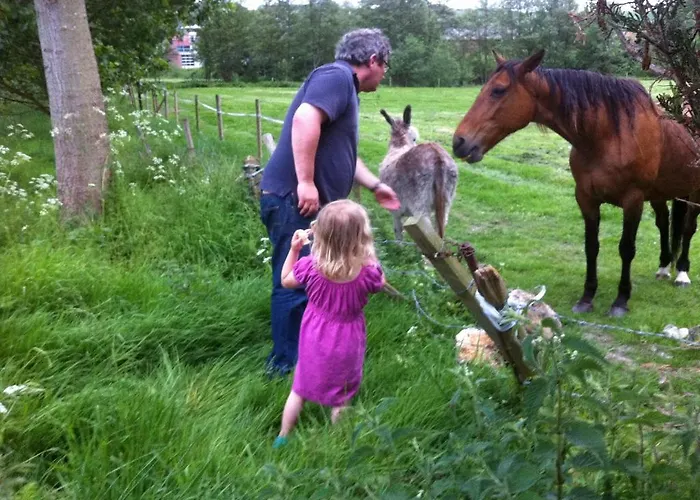Du Manoir D'archelles Bed and breakfast Arques-la-Bataille