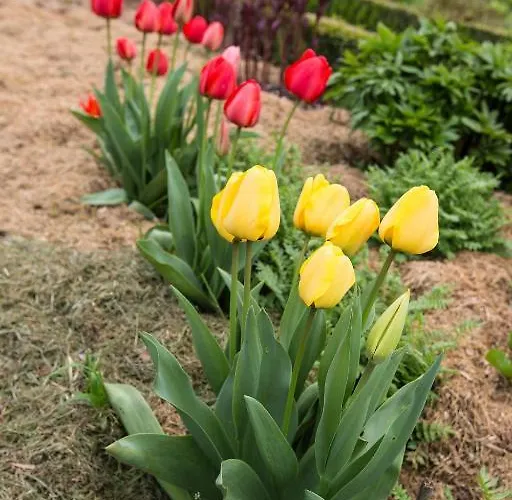 Du Manoir D'archelles Bed & Breakfast